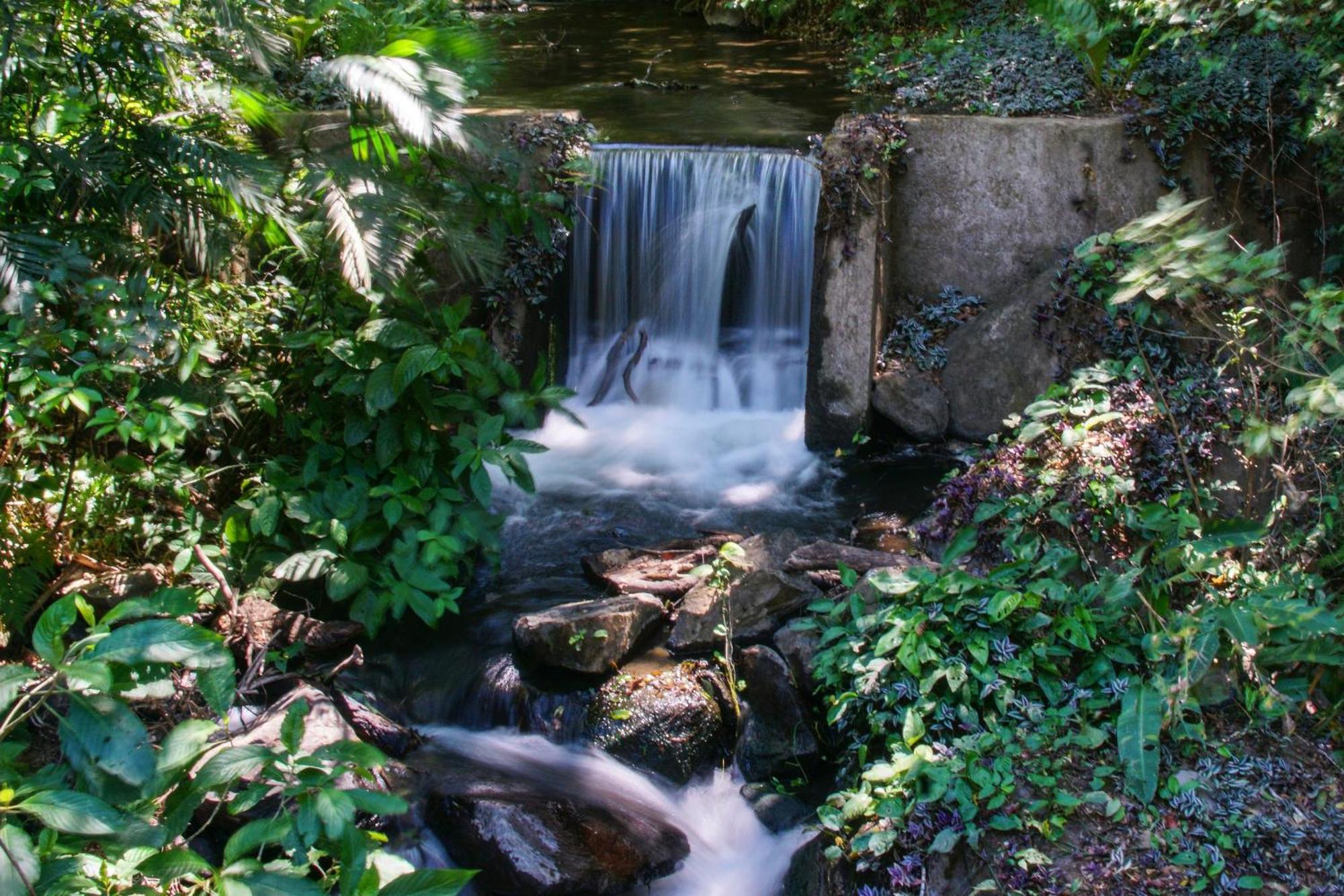 Buena Vista Del Rincon Eco Adventure Park Hotel & Spa Ліберія Екстер'єр фото